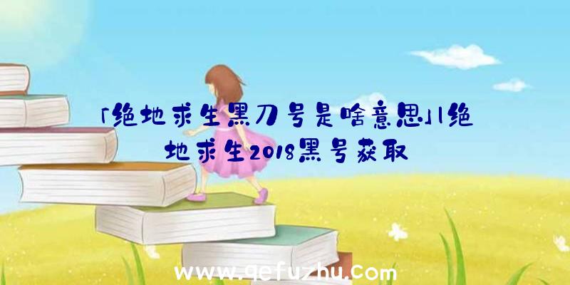 「绝地求生黑刀号是啥意思」|绝地求生2018黑号获取